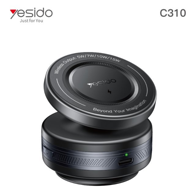 C310