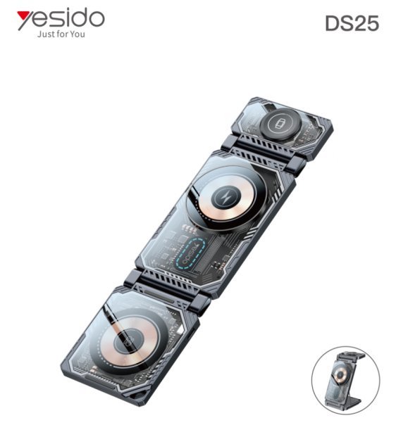 DS25