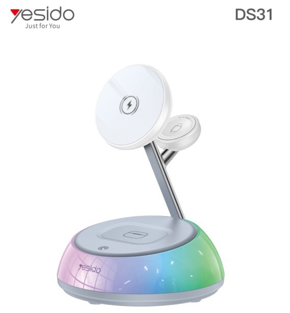 DS31
